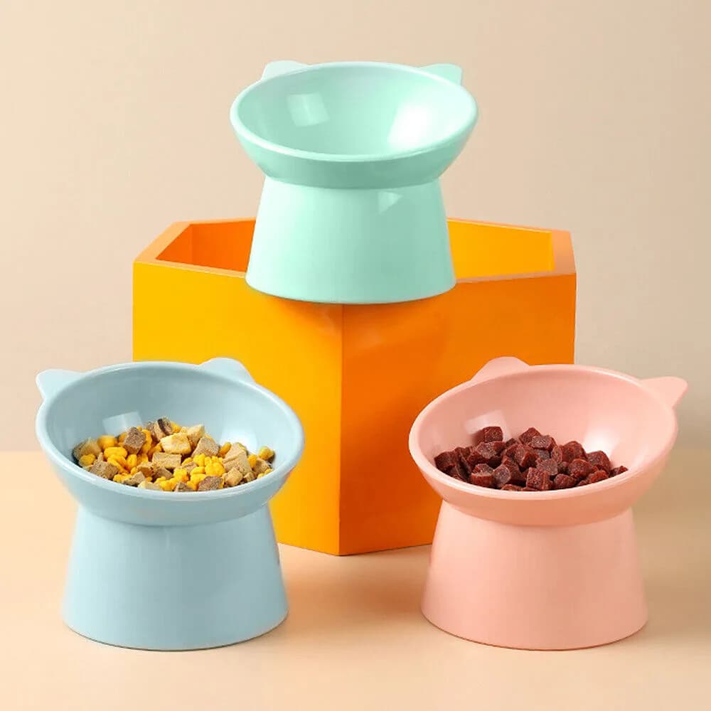 PET PAISE BOWL (11.5*11.70*8) 2
