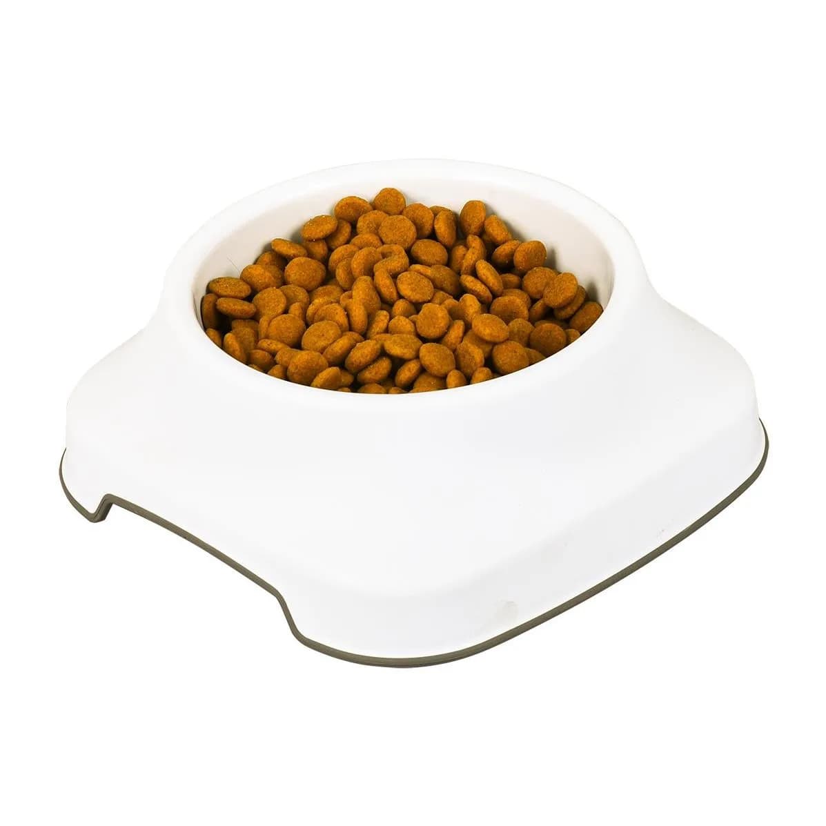 صحن طعام 2 لتر CONTAINER PET FOOD 3
