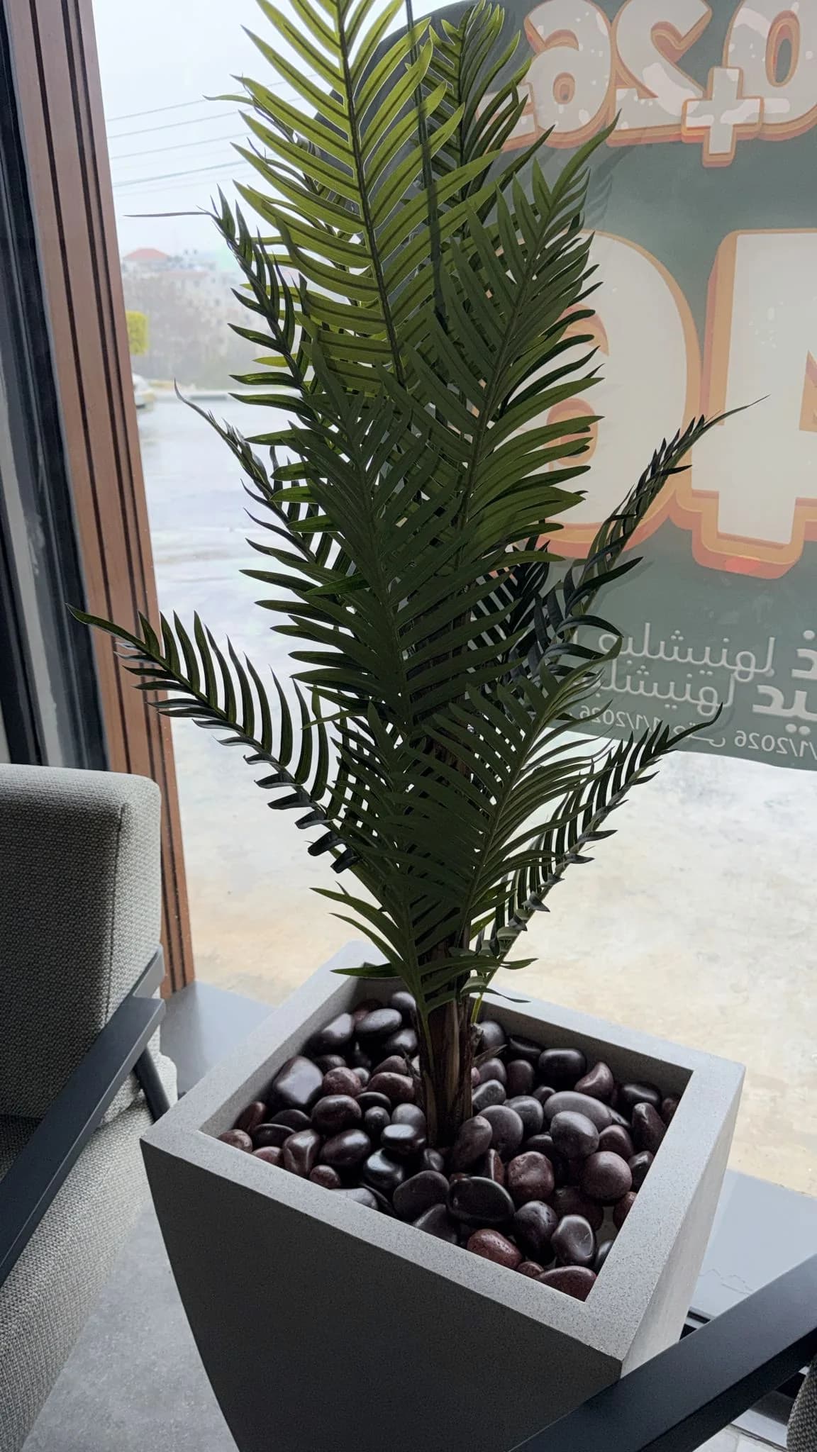 شجر زينة صناعي PALM TREE