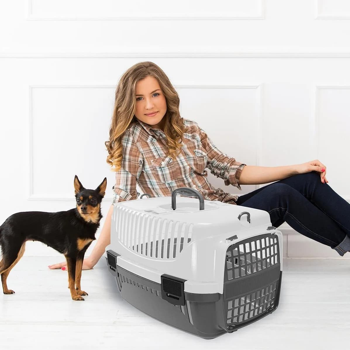 plastic pet basket حجم وسط 4