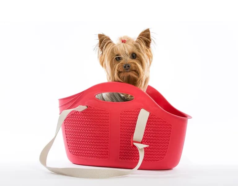 Mia Pet bag 3